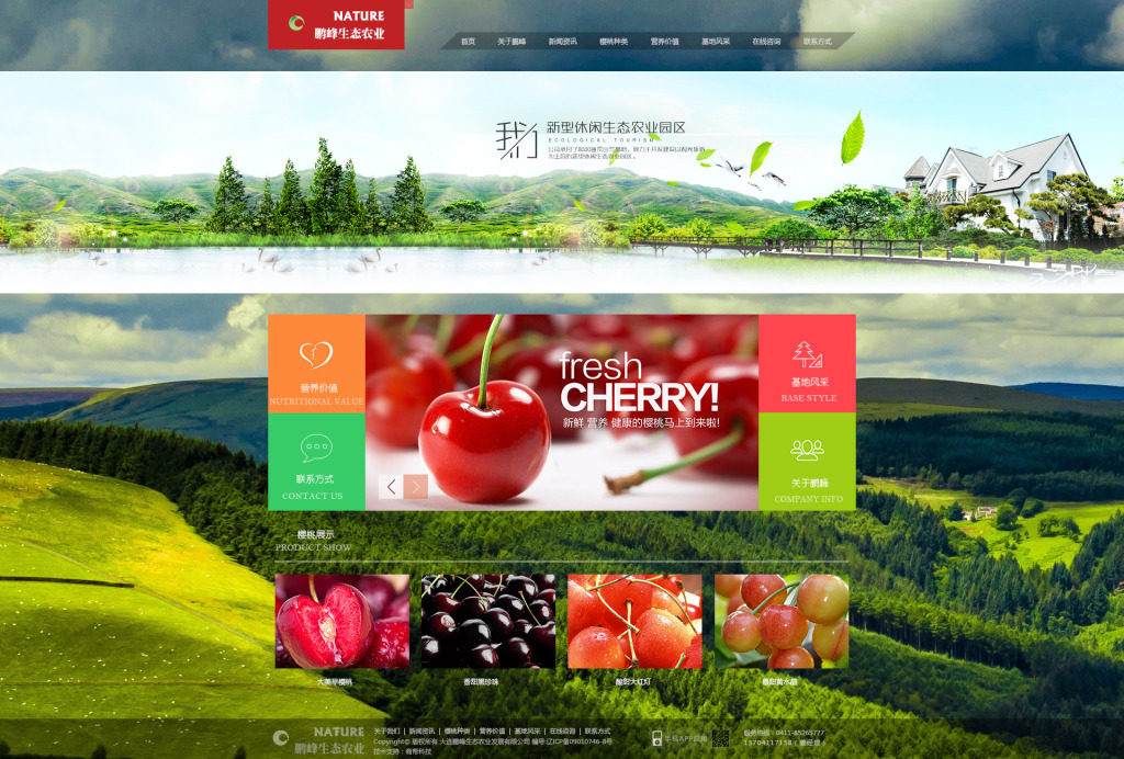 櫻桃網站設計 構建視覺誘人與功能并重的在線空間