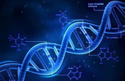 克隆技術(shù) 從喧囂到沉寂，科學(xué)家的解答揭示深層原因